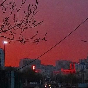 Meet your Posher, Zoë